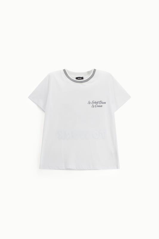 CAMISETA DE DIXIE