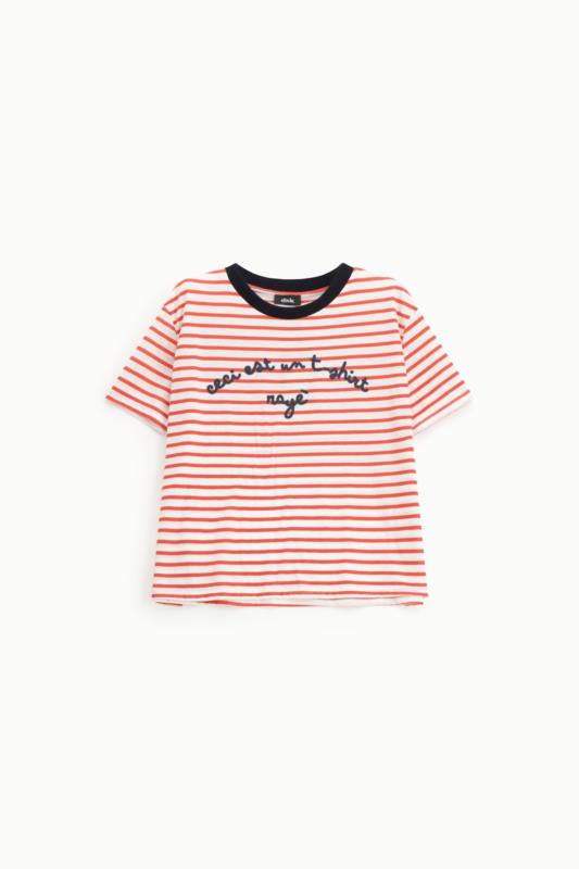 CAMISETA DE ENVIDIASANA